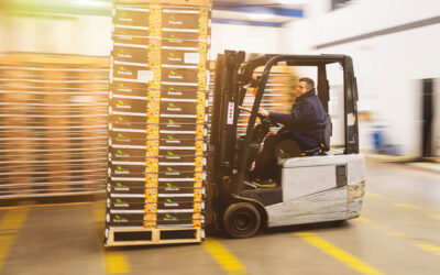 VHM kiest voor Profix